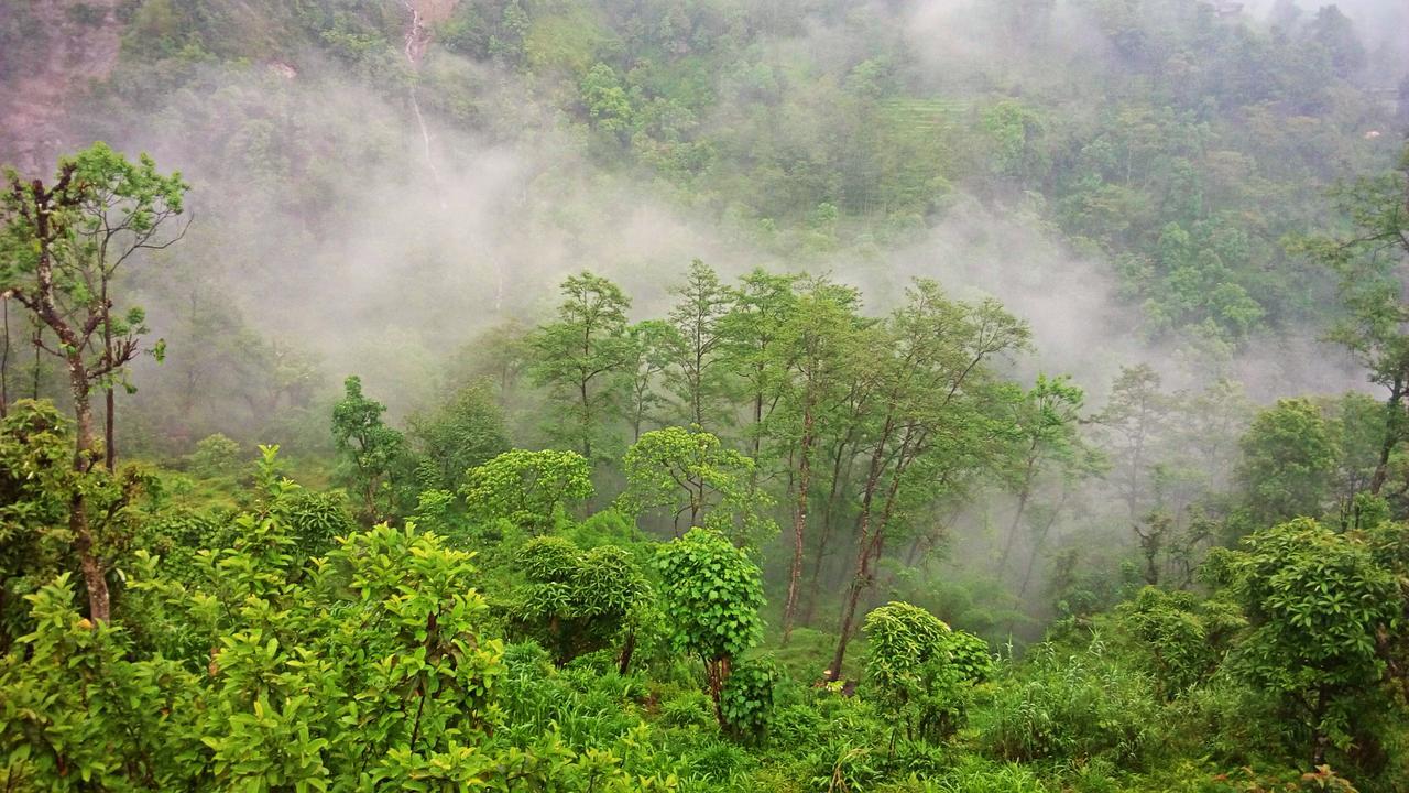 Enchanted Forest Farmstay Gangtok Exterior photo