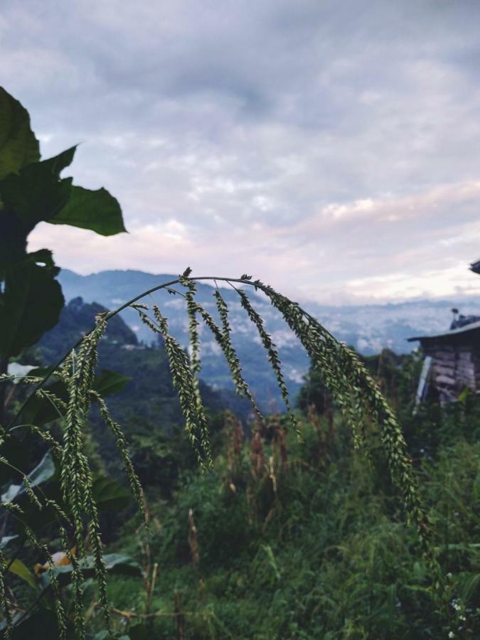 Enchanted Forest Farmstay Gangtok Exterior photo